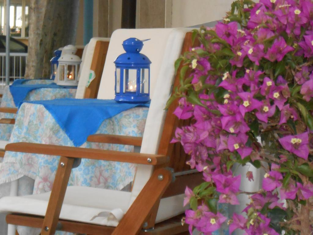 בלריה-איגאה מרינה Hotel Villa Dei Platani מראה חיצוני תמונה
